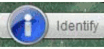 Identify